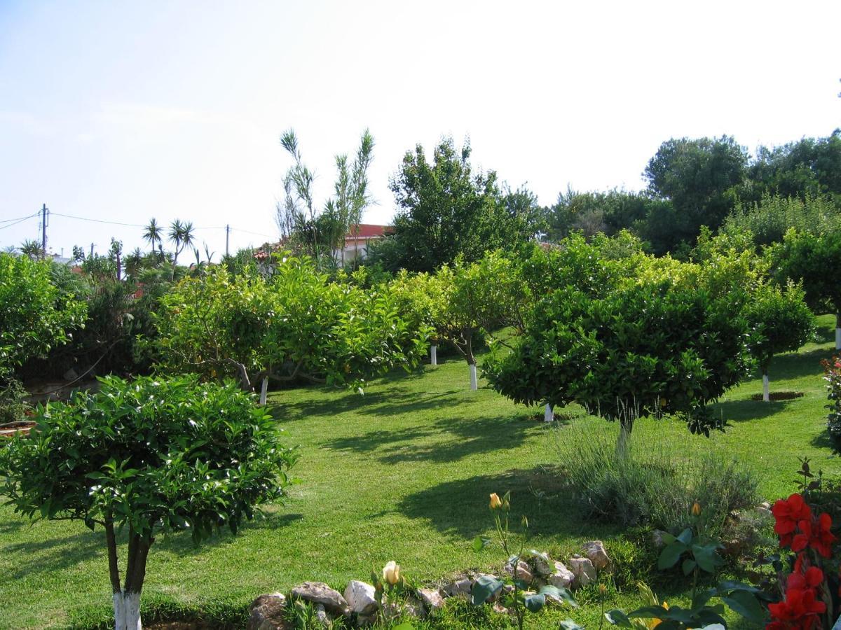 Tara Beach Hotel Skala  Екстериор снимка